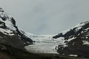 06 - Columbia Icefield - IMG_0984